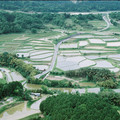 1551-3.jpg