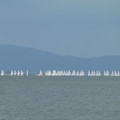 1602-1.jpg