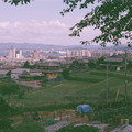 1604-1.jpg