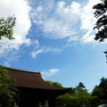 1655-1.jpg