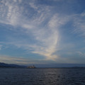 1659-1.jpg