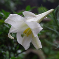 1667-3.jpg