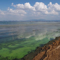 1709-2.jpg