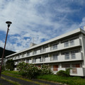 1715-3.jpg