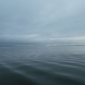 1727-1.jpg