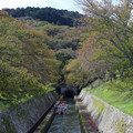 1728-2.jpg