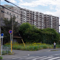 1728-3.jpg