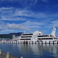 1731-1.jpg