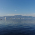 1779-1.jpg