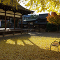 1779-3.jpg