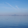 1785-2.jpg