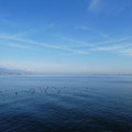 1790-1.jpg