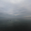 1845-3.jpg