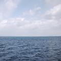 1854-1.jpg