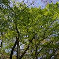 1906-2.jpg