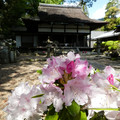 1919-3.jpg