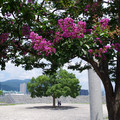 2014-1.jpg