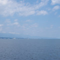 2029-2.jpg