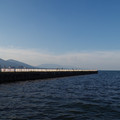 2029-3.jpg