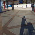 2031-3.jpg