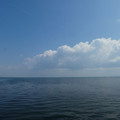 2038-1.jpg
