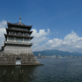 2038-2.jpg