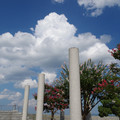 2039-1.jpg