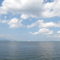 2039-3.jpg