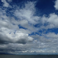 2040-1.jpg