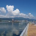 2043-1.jpg
