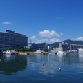 2043-2.jpg