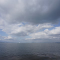 2079-2.jpg