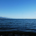 2080-1.jpg