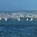 2080-3.jpg