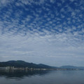 2081-2.jpg