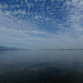 2081-3.jpg