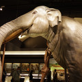 2082-1.jpg