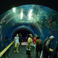 2082-3.jpg
