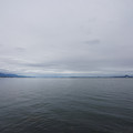2084-1.jpg