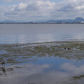 2085-3.jpg