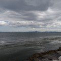 2087-1.jpg