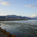 2088-3.jpg