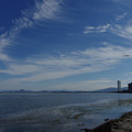 2090-1.jpg