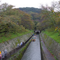2091-1.jpg