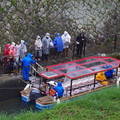 2091-2.jpg