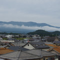 2092-1.jpg