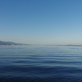 2092-3.jpg