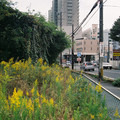 2102-1.jpg