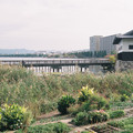 2102-3.jpg