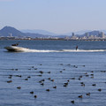 2141-1.jpg